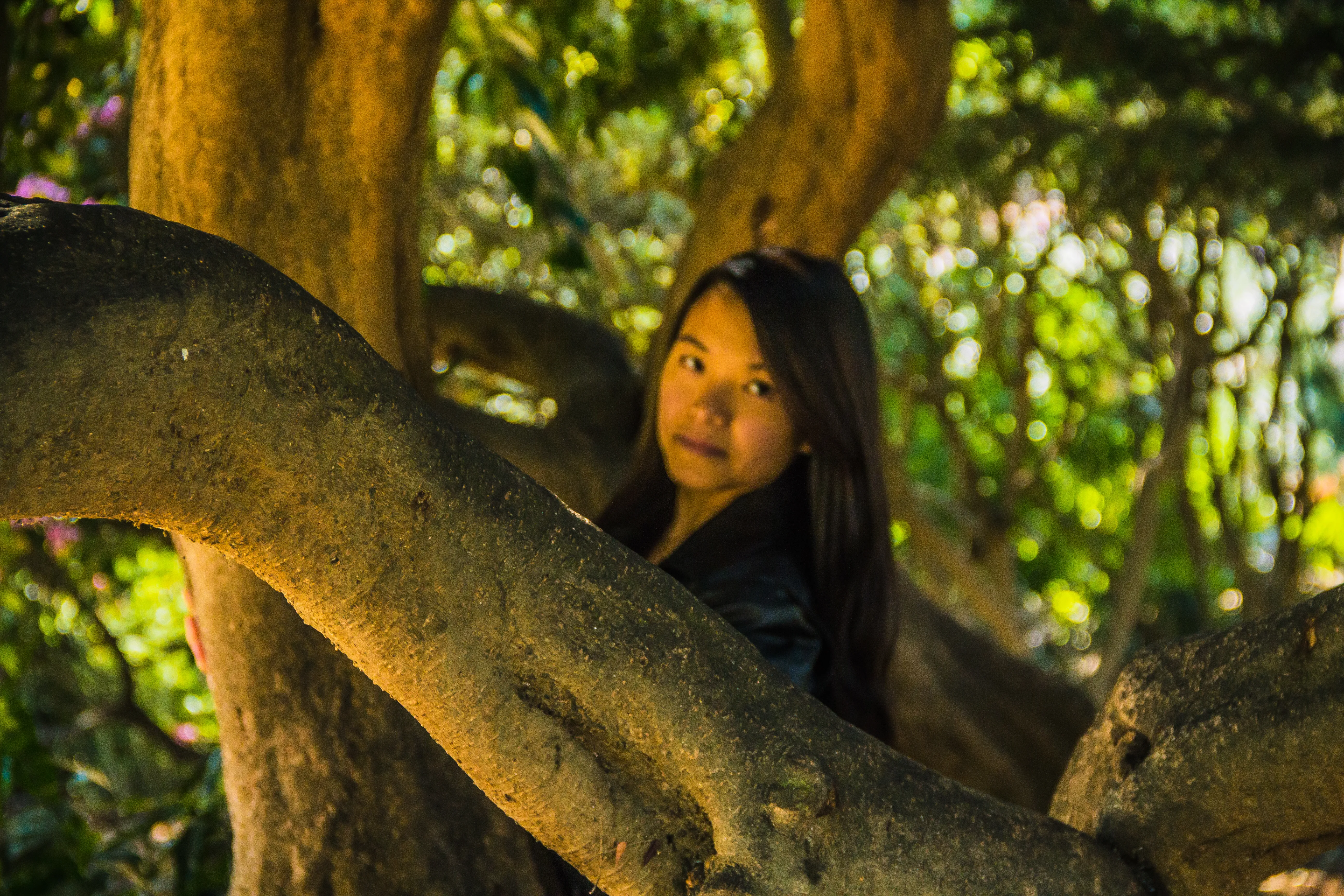 Portrait Epiphany